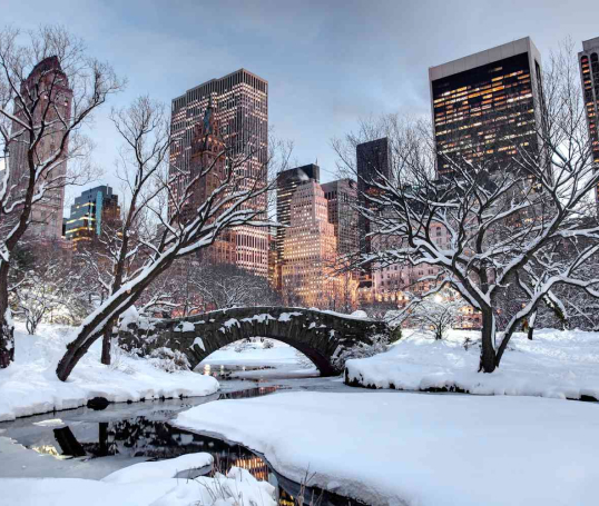 January Events New York City