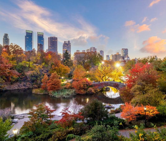 September Events New York City
