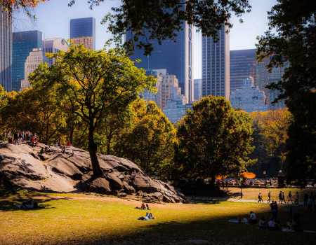 Central Park