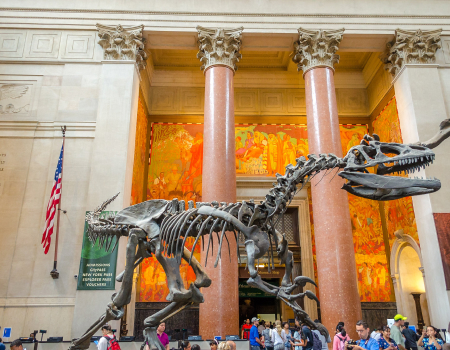 American Museum of Natural History
